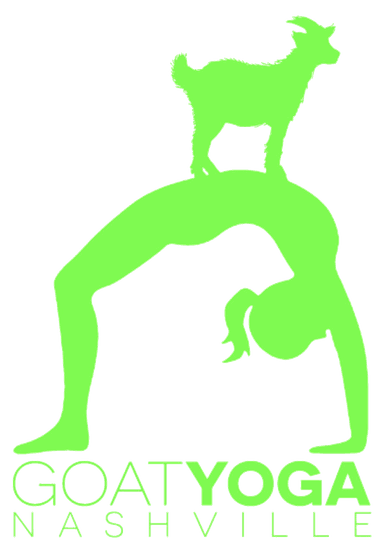Owner of Goat Yoga Nashville